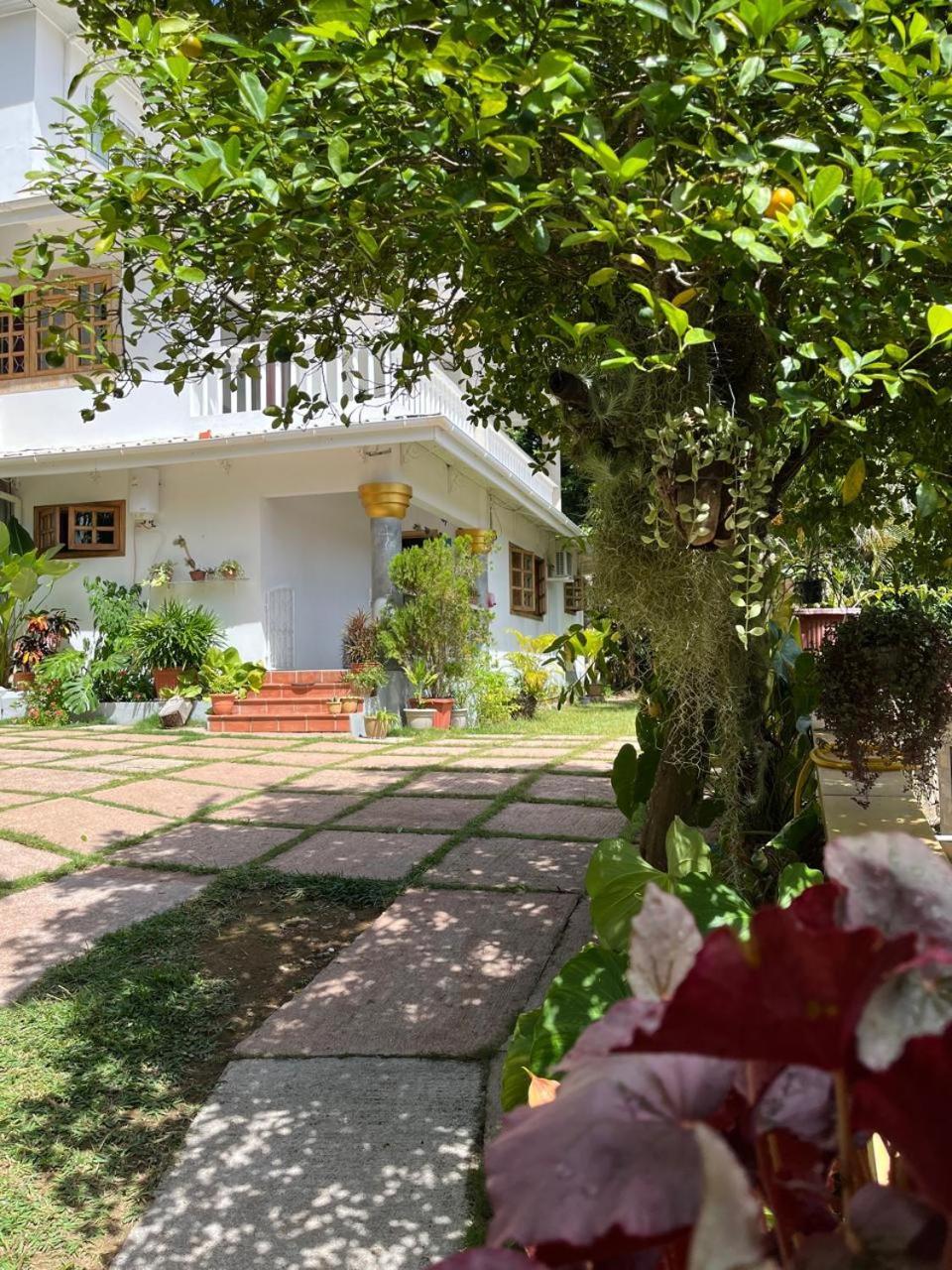 Cavern Apartments Baie Sainte Anne Ngoại thất bức ảnh